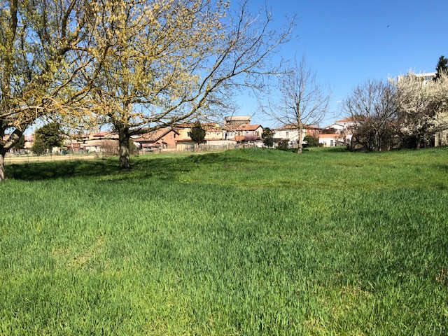 Appartamento FERRARA vendita  Via Arginone  AREA CASA