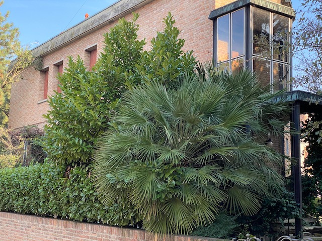 Villa Unifamiliare - Indipendente FERRARA vendita  Via Bologna  AREA CASA