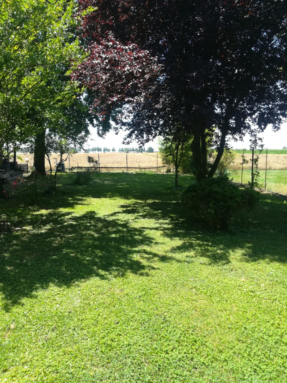 Villa Unifamiliare - Indipendente FERRARA vendita  Porotto-Cassana  AREA CASA