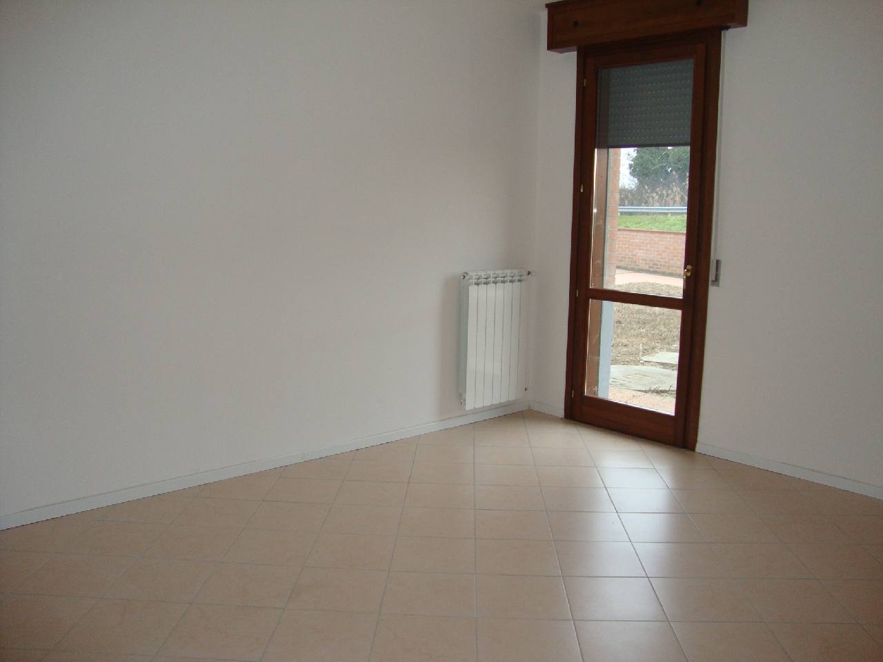 Appartamento BONDENO affitto  Bondeno  LA TORRE IMMOBILIARE