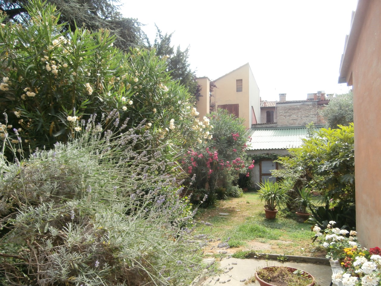 Villa Unifamiliare - Indipendente FERRARA vendita  Centro Storico  BOZZOLANI IMMOBILIARE