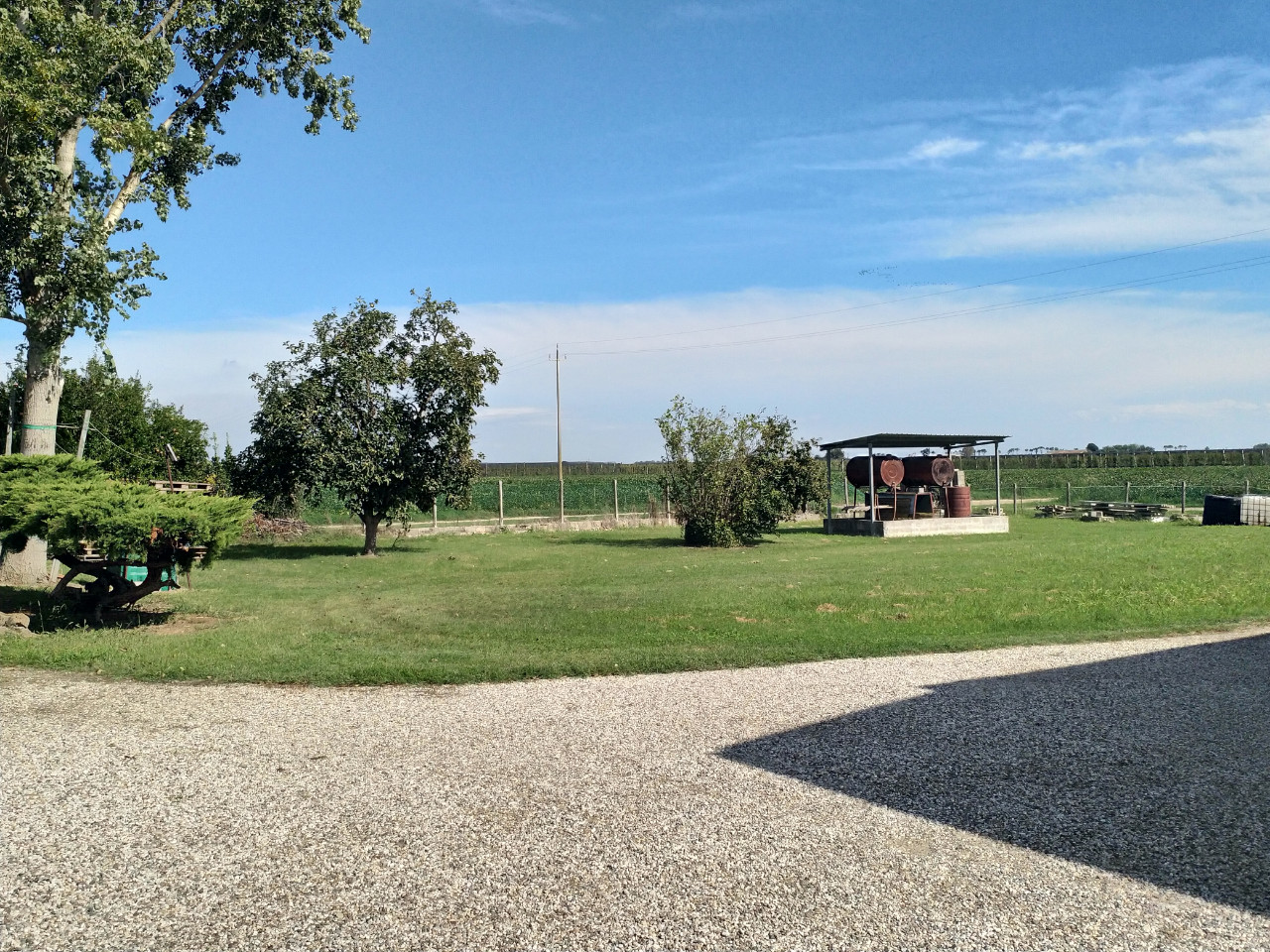 Villa Unifamiliare - Indipendente RO vendita  Ro Ferrarese  BOZZOLANI IMMOBILIARE