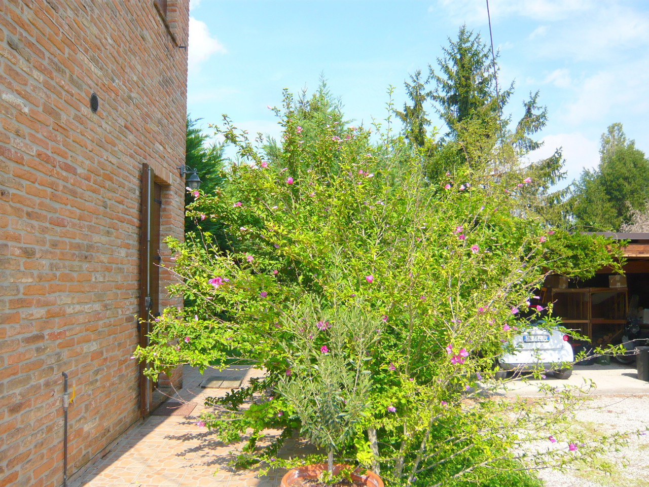 Appartamento FERRARA vendita  Via Bologna  IMMOBILIARE CAVOUR