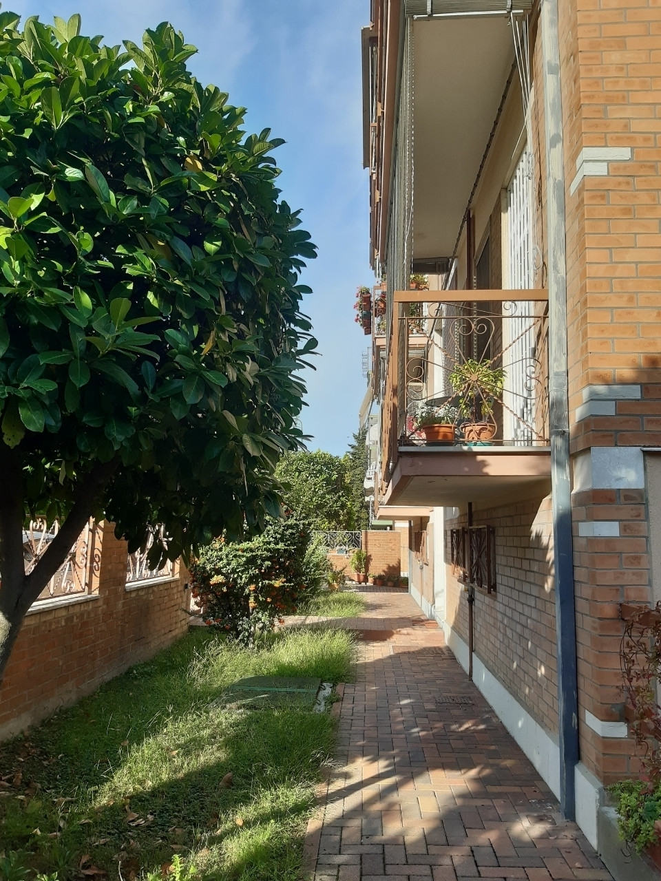 Appartamento FERRARA affitto  Borgo Punta  Le case Intermedia