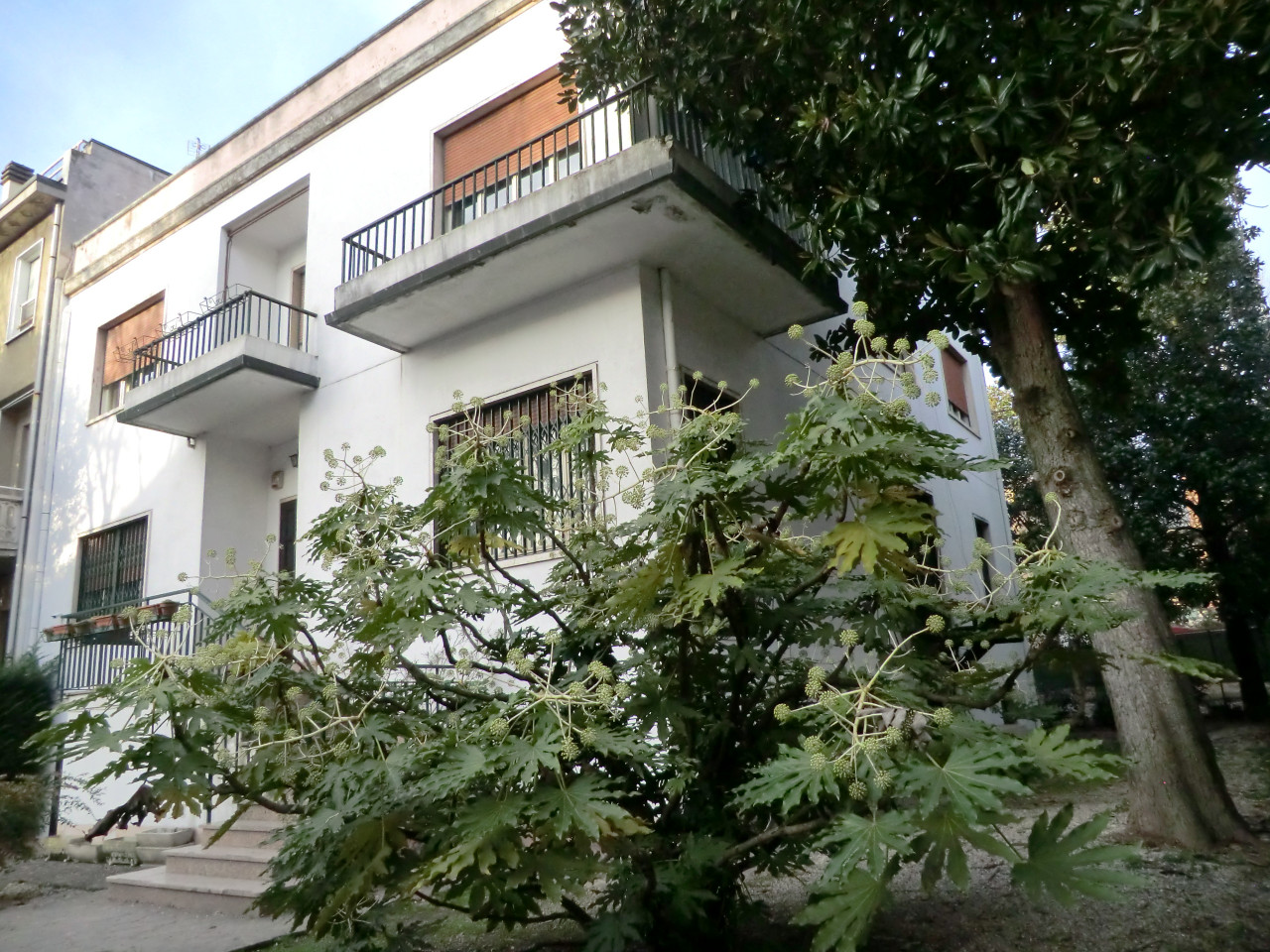  ferrara vendita quart: viale cavour le case intermedia