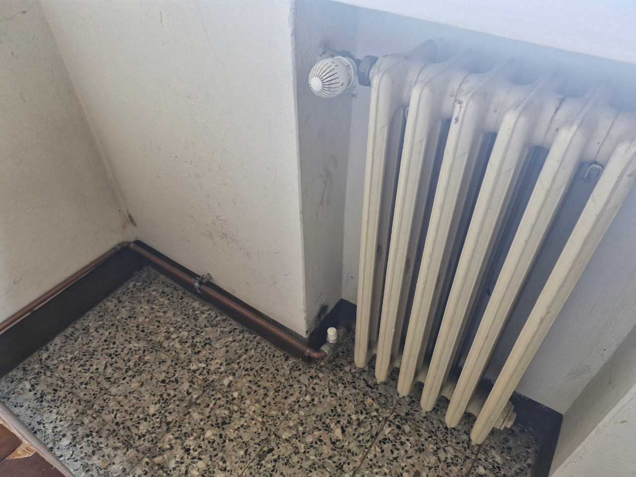 Casa indipendente in vendita a Ferrara (FE)
