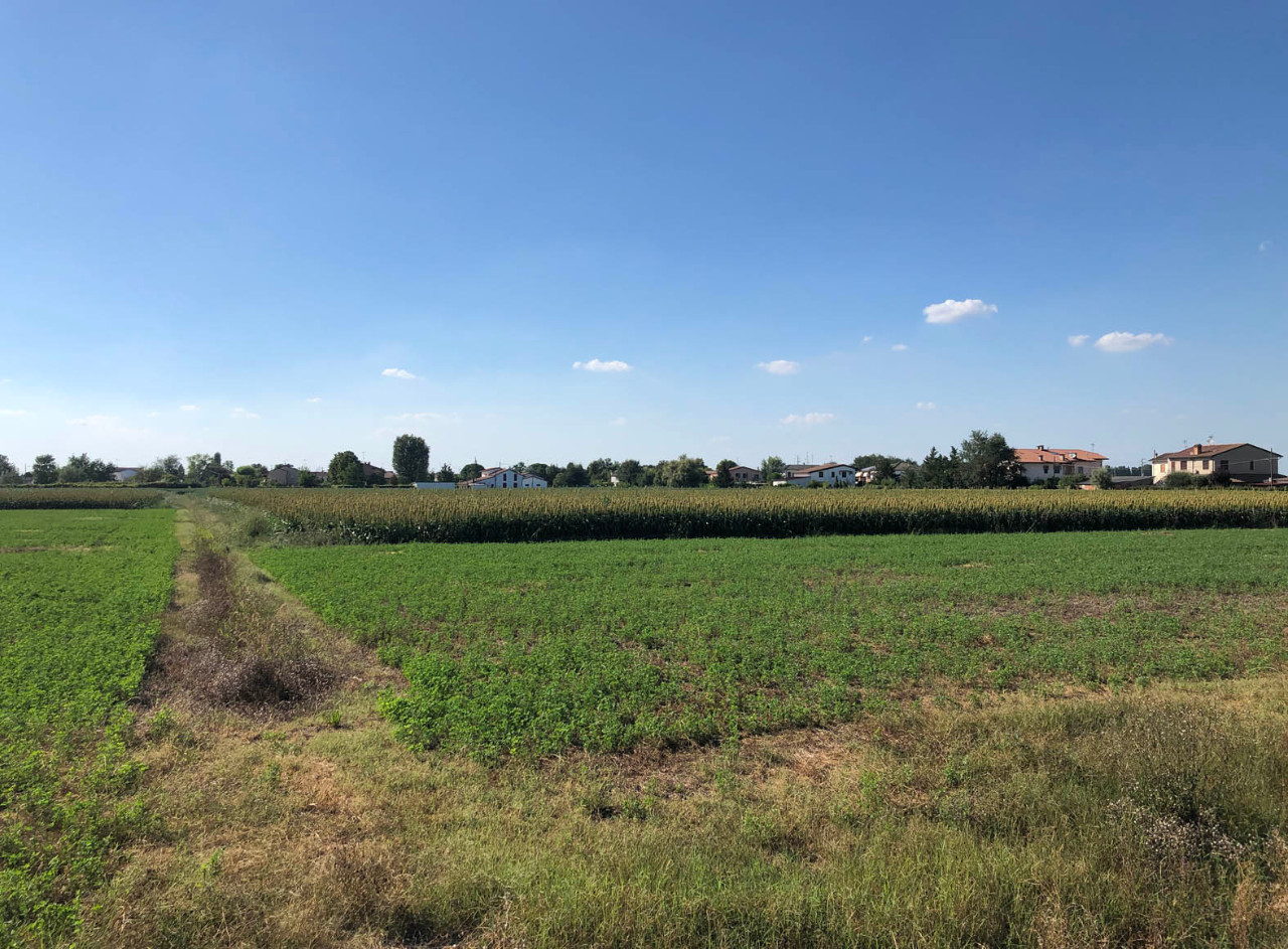 Terreno Agricolo in vendita Poggio Renatico